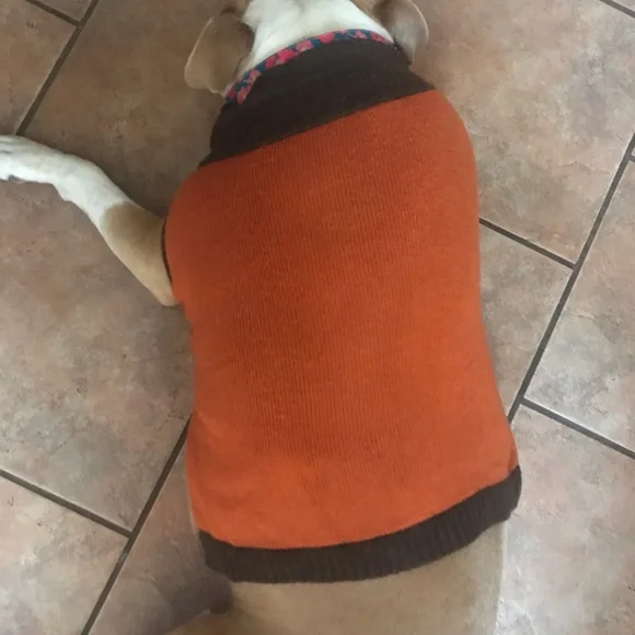 Dog sweater - Picture 4 of 6
